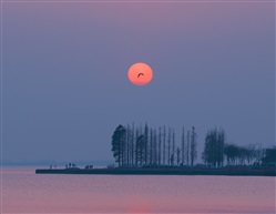 夕阳下