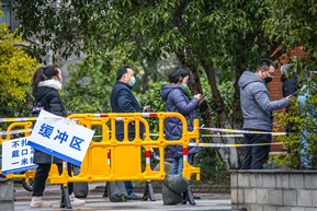 《井然有序》