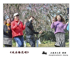 《欢乐梅花颂》