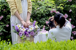 花季 