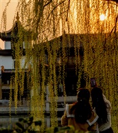 《看夕阳》