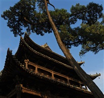 2021年暑期豫晋走马游(173)