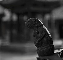 2021年暑期豫晋走马游(172)