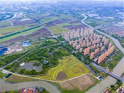 陆家陈巷