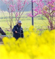  春天里 