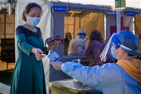 《已采集》