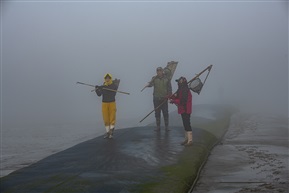 赶海归来