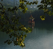 清风飘飞阁