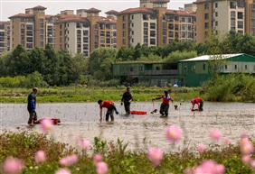 《美丽家园》