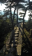 远上寒山石径斜