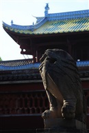 春去春来老将至