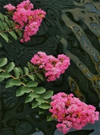 锦上添花