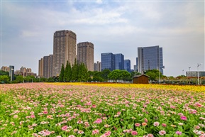 东城新貌