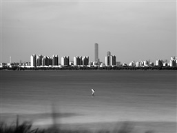 金鸡独立