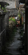 无媒径路草萧萧