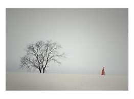 一夜关山雪满飞