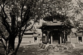 绿阴不减来时路