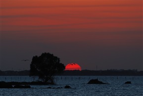 夕阳下