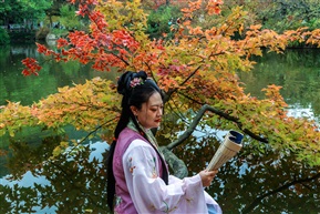 天平山枫叶红了-3