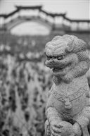 狮子与桥