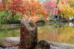 天平山枫叶红了-1