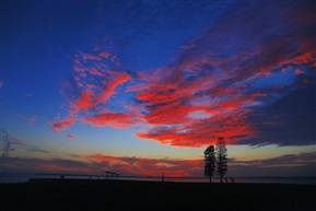 夕阳下