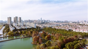 城市景枫