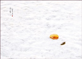 大雪节气