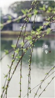惊蛰节气