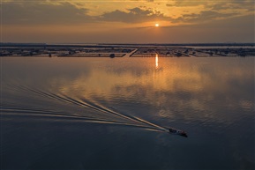 夕归