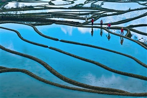 田埂上的旅者