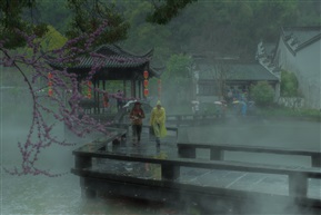 江南雨