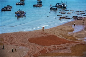 《霞浦滩涂》