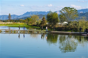 山村小桥