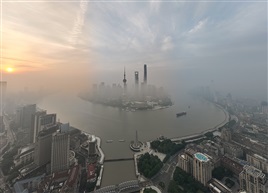阳光普照