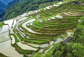 《彩绘大地》