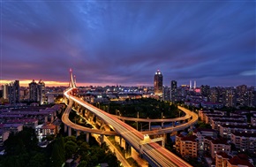杨浦大桥