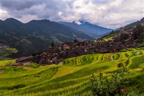 山雨欲来风满楼