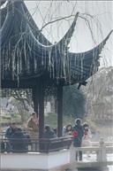 岁月静好（二）