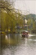 岁月静好（一）