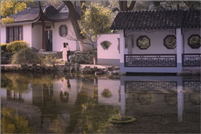 岁月静好（四）