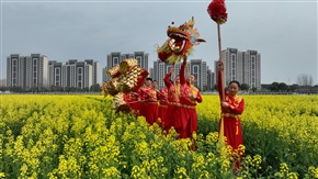 花海 龙舞