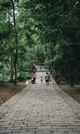 林间小道