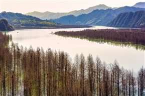 《水墨汀溪》