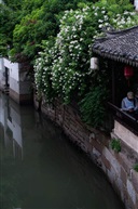 绿意江南