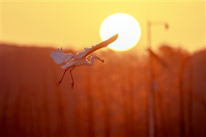 《天使穿越》