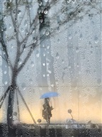 秋雨