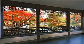 窗外风景