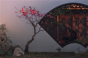 梅花（3）