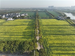 春天的气息